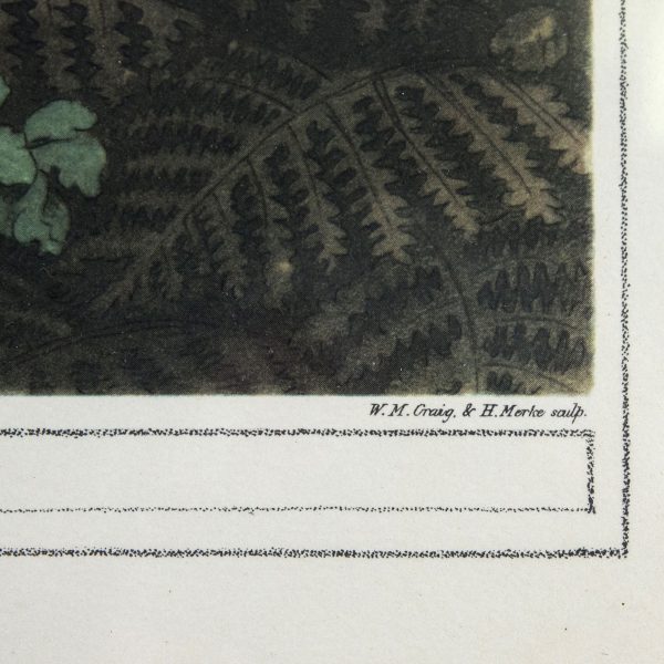Litografie cu motivul vanatoarei de fazani dupa J. GODBY & H MERKE AFTER SAMUEL HOWITT. A Decoratiuni