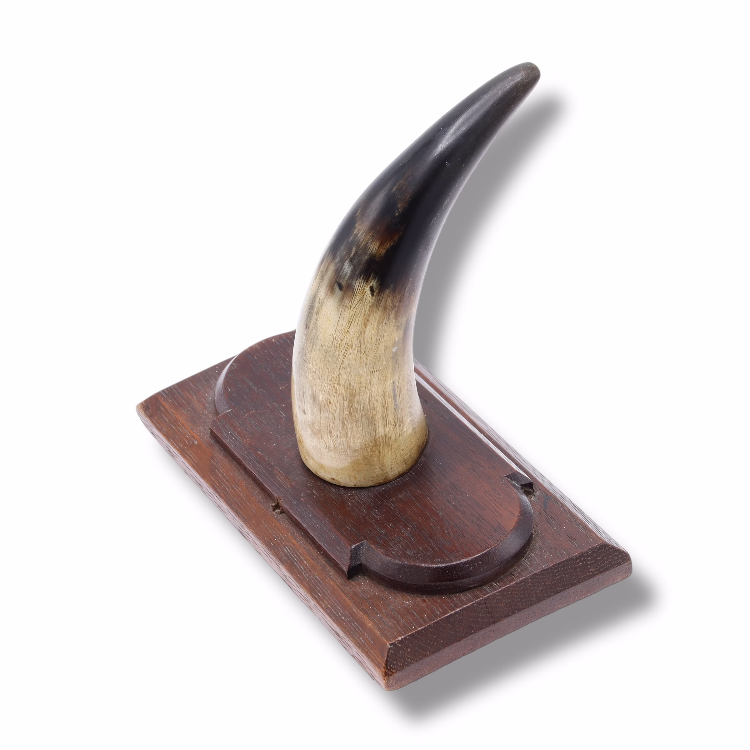 Decorațiune pentru perete din lemn și corn natural (trofeu) Decoratiuni