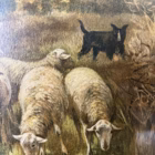 Tablou înrămat vintage Păstorul pe drumul de țară Decoratiuni Magazin de mobila decoratiuni si corpuri de iluminat vintage Tablou înrămat vintage Păstorul pe drumul de țară Decoratiuni