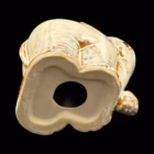 Figurină Vintage din Ceramică Glazurată – Elefant Decorativ de Colecție Bibelouri